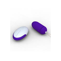 Remote Control Egg Purple